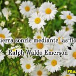 🌼 15 frases para dar la bienvenida a la primavera