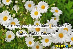 15 frases para dar la bienvenida a la primavera.