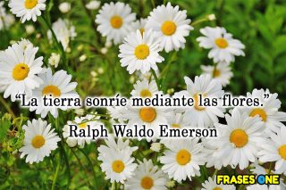 15 frases para dar la bienvenida a la primavera.