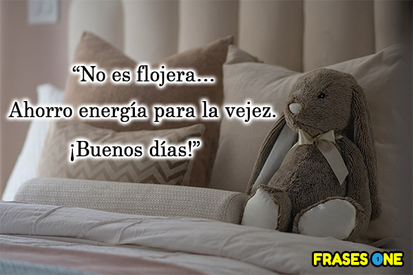 No es flojera… Ahorro energía para la vejez. ¡Buenos días!