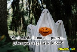 23 frases de Halloween dulces para embrujar tus sentidos.