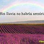 10 frases positivas cortas que transformarán tu día.