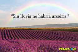 10 frases positivas cortas que transformarán tu día.