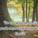 Fortalece tu mente con estas frases positivas poderosas.