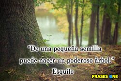 Fortalece tu mente con estas frases positivas poderosas.