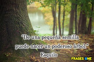 Fortalece tu mente con estas frases positivas poderosas.