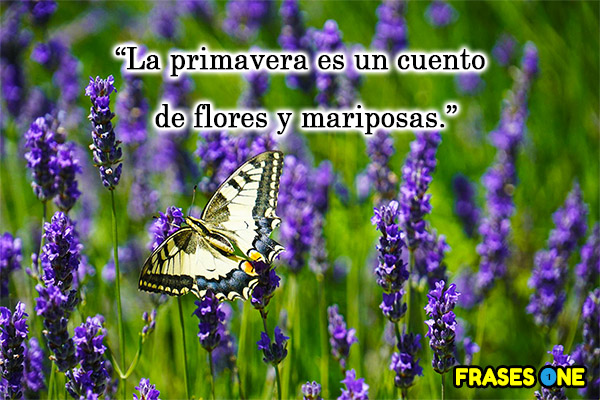 La primavera es un cuento de flores y mariposas.