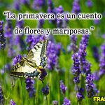 🦋 Frases de primavera bonitas
