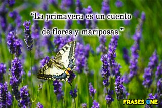 Frases de primavera bonitas.