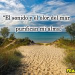 🐚 Frases del sonido del mar