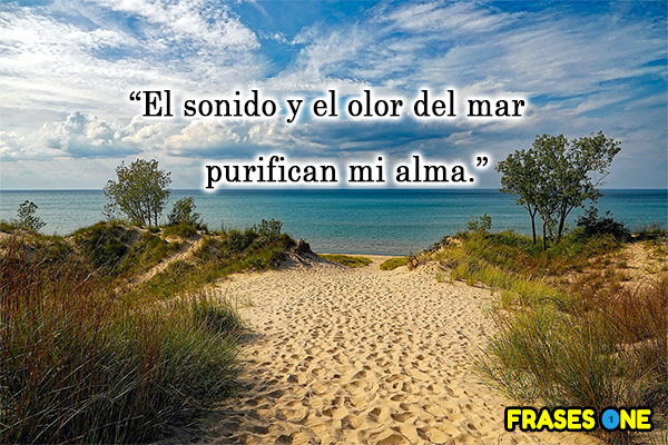El sonido y el olor del mar purifican mi alma.