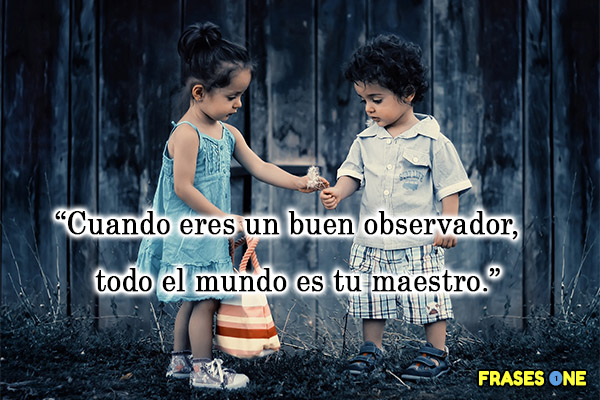 Cuando eres un buen observador, todo el mundo es tu maestro.
