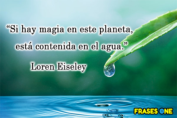 Si hay magia en este planeta, está contenida en el agua. Loren Eiseley.