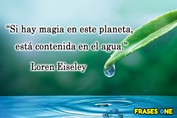 Palabras bonitas sobre el agua.