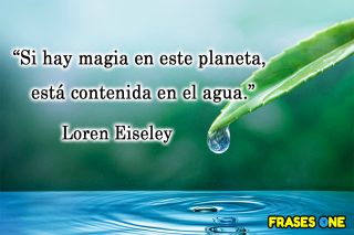 Palabras bonitas sobre el agua.